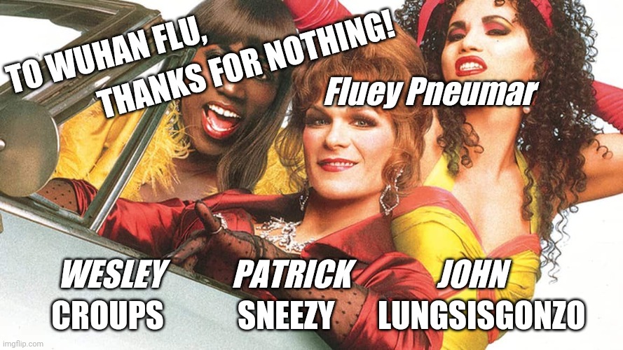 To Wuhan Flu | THANKS FOR NOTHING! TO WUHAN FLU, Fluey Pneumar; WESLEY           PATRICK              JOHN; CROUPS            SNEEZY       LUNGSISGONZO | image tagged in to wong foo,wuhan,coronavirus,covid-19,memes,2020 | made w/ Imgflip meme maker