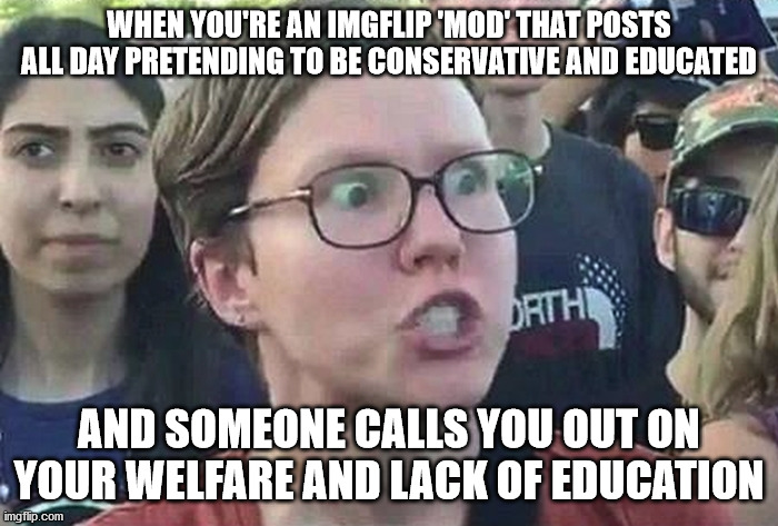 Triggered Liberal | WHEN YOU'RE AN IMGFLIP 'MOD' THAT POSTS ALL DAY PRETENDING TO BE CONSERVATIVE AND EDUCATED; AND SOMEONE CALLS YOU OUT ON YOUR WELFARE AND LACK OF EDUCATION | image tagged in triggered liberal | made w/ Imgflip meme maker