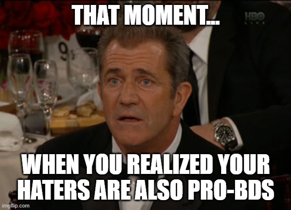 Confused Mel Gibson Meme | THAT MOMENT... WHEN YOU REALIZED YOUR HATERS ARE ALSO PRO-BDS | image tagged in memes,confused mel gibson | made w/ Imgflip meme maker
