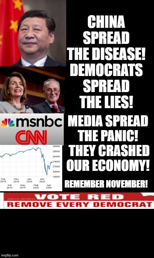 China Spread the Disease! Democrats Spread the Lies! Media Spread the Panic! | REMEMBER NOVEMBER! | image tagged in fake news,china,democrats,stupid liberals | made w/ Imgflip meme maker