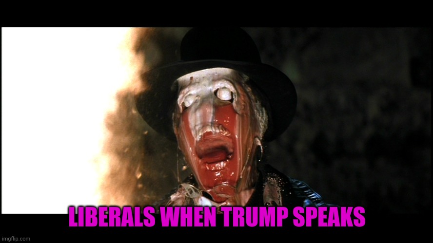 Indiana Jones Face Melt | LIBERALS WHEN TRUMP SPEAKS | image tagged in indiana jones face melt | made w/ Imgflip meme maker