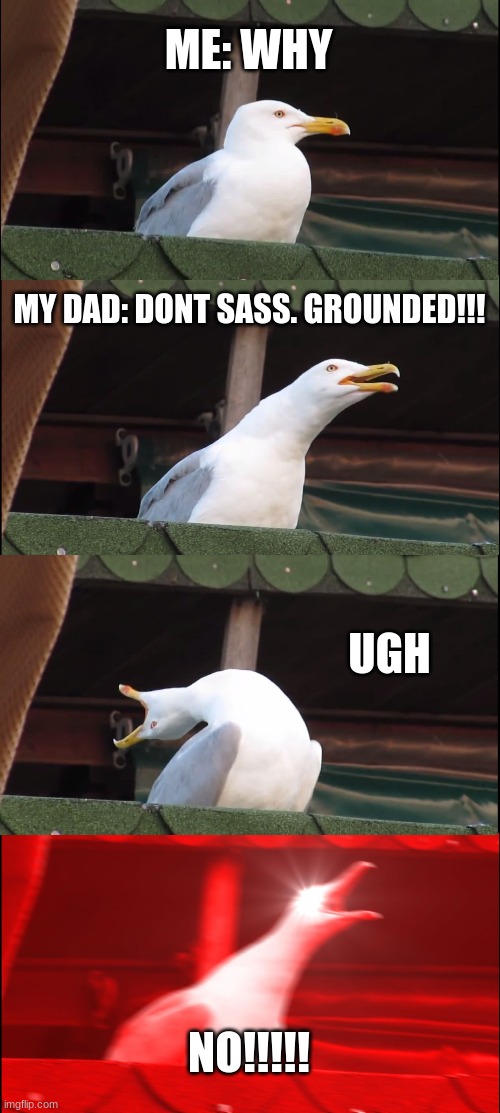 Inhaling Seagull Meme | ME: WHY; MY DAD: DONT SASS. GROUNDED!!! UGH; NO!!!!! | image tagged in memes,inhaling seagull | made w/ Imgflip meme maker
