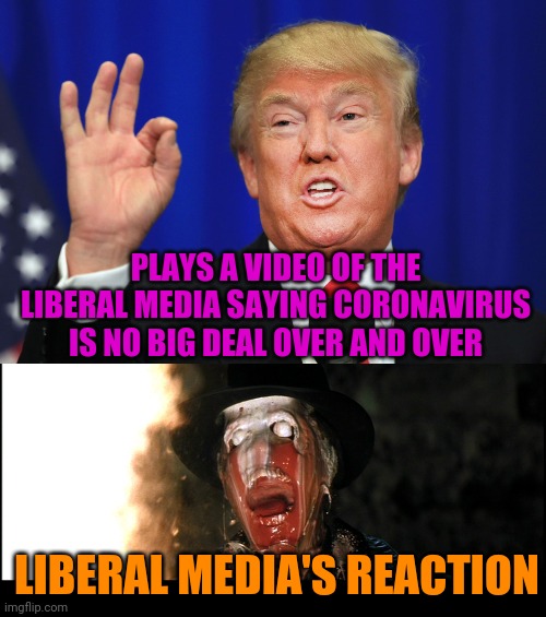 Trump Ruins the Mainstream Media With One Video | PLAYS A VIDEO OF THE LIBERAL MEDIA SAYING CORONAVIRUS IS NO BIG DEAL OVER AND OVER; LIBERAL MEDIA'S REACTION | image tagged in indiana jones face melt,the best trump,liberal logic,fake news,msm lies,politics | made w/ Imgflip meme maker