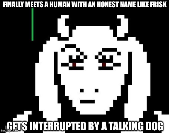 Undertale - Toriel | FINALLY MEETS A HUMAN WITH AN HONEST NAME LIKE FRISK; GETS INTERRUPTED BY A TALKING DOG | image tagged in undertale - toriel | made w/ Imgflip meme maker