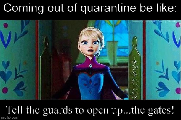 Coming out of quarantine be like:; Tell the guards to open up...the gates! | image tagged in elsa frozen,frozen,quarantine,freedom | made w/ Imgflip meme maker