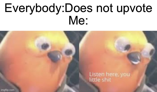 UPVOTE OR DIE | Everybody:Does not upvote
Me: | image tagged in listen here you little shit bird,dank memes,juicy memes,bird,birb | made w/ Imgflip meme maker