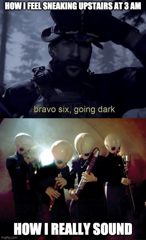 HOW I FEEL SNEAKING UPSTAIRS AT 3 AM; HOW I REALLY SOUND | image tagged in star wars,call of duty,bravo six going dark | made w/ Imgflip meme maker