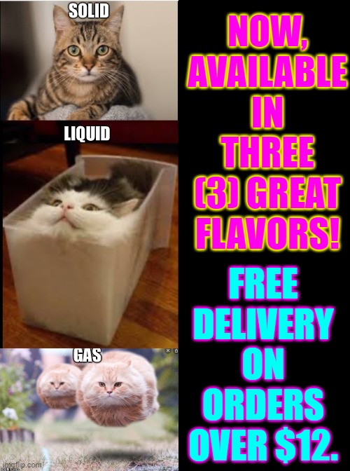 For a Limited Time Only! Call Your Shelter Now! | NOW, AVAILABLE IN THREE (3) GREAT FLAVORS! FREE DELIVERY ON ORDERS OVER $12. | image tagged in vince vance,cat in a box,free,delivery,cats,funny cat memes | made w/ Imgflip meme maker