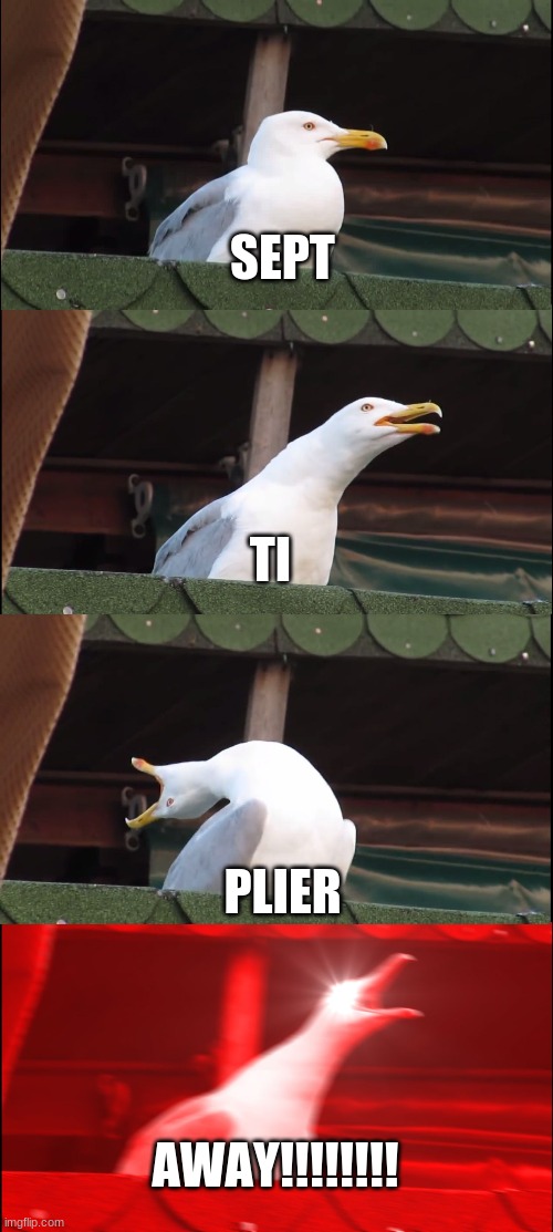 Inhaling Seagull | SEPT; TI; PLIER; AWAY!!!!!!!! | image tagged in memes,inhaling seagull | made w/ Imgflip meme maker