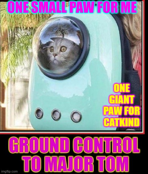 To Boldly Go into the Vacuum Cleaner | ONE GIANT PAW FOR CATKIND ONE SMALL PAW FOR ME | image tagged in vince vance,cats,david bowie,funny cat memes,ground control to major tom,space force | made w/ Imgflip meme maker