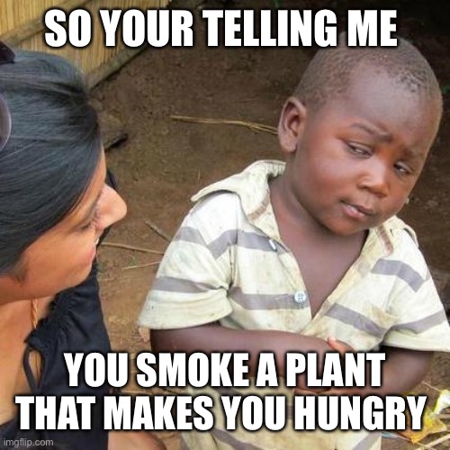 Third World Skeptical Kid | SO YOUR TELLING ME; YOU SMOKE A PLANT THAT MAKES YOU HUNGRY | image tagged in memes,third world skeptical kid | made w/ Imgflip meme maker