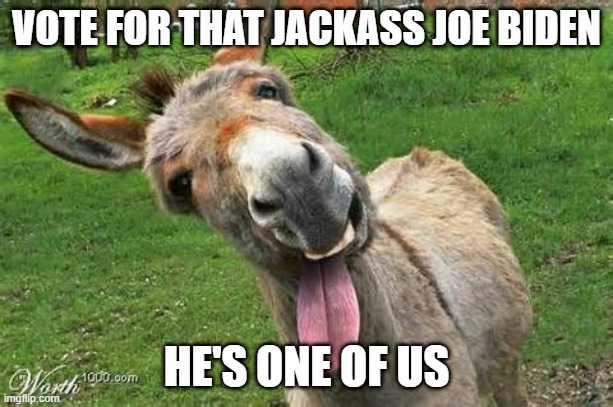 Laughing Donkey | VOTE FOR THAT JACKASS JOE BIDEN; HE'S ONE OF US | image tagged in laughing donkey | made w/ Imgflip meme maker