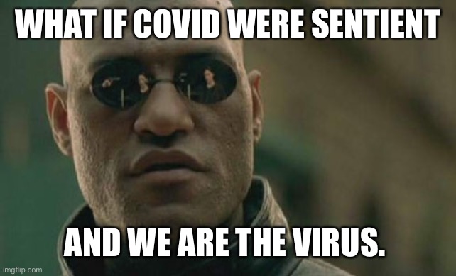 Matrix Morpheus Meme | WHAT IF COVID WERE SENTIENT; AND WE ARE THE VIRUS. | image tagged in memes,matrix morpheus | made w/ Imgflip meme maker