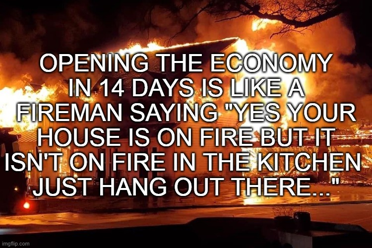 Open Ecomony | OPENING THE ECONOMY IN 14 DAYS IS LIKE A FIREMAN SAYING "YES YOUR HOUSE IS ON FIRE BUT IT ISN'T ON FIRE IN THE KITCHEN 
JUST HANG OUT THERE..." | image tagged in donald trump,economy | made w/ Imgflip meme maker