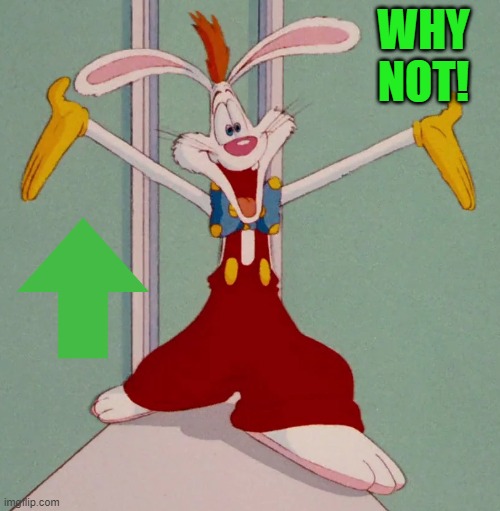 WHY NOT! | image tagged in roger rabbit | made w/ Imgflip meme maker