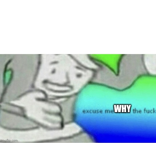 Excuse me wtf blank template | WHY | image tagged in excuse me wtf blank template | made w/ Imgflip meme maker