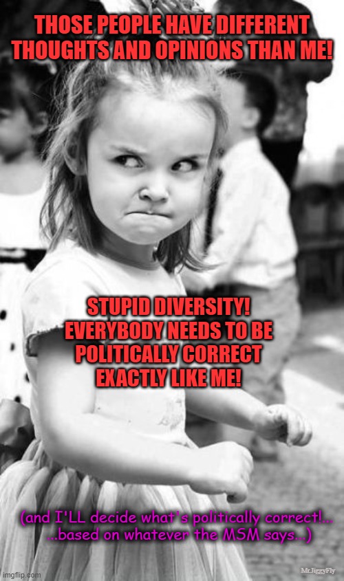 Angry Toddler | THOSE PEOPLE HAVE DIFFERENT THOUGHTS AND OPINIONS THAN ME! STUPID DIVERSITY!
EVERYBODY NEEDS TO BE
POLITICALLY CORRECT
EXACTLY LIKE ME! (and I'LL decide what's politically correct!... 
...based on whatever the MSM says...); Mr.JiggyFly | image tagged in angry toddler,msm lies,political correctness,diversity,be like,logic thinker | made w/ Imgflip meme maker