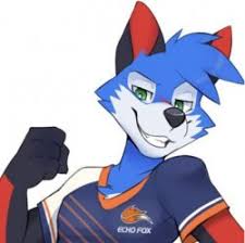 SonicFox Blank Meme Template