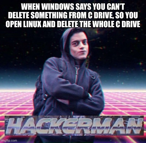 HackerMan | WHEN WINDOWS SAYS YOU CAN’T DELETE SOMETHING FROM C DRIVE, SO YOU OPEN LINUX AND DELETE THE WHOLE C DRIVE | image tagged in hackerman | made w/ Imgflip meme maker
