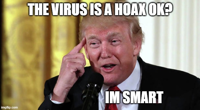 Trump Stable Genius | THE VIRUS IS A HOAX OK? IM SMART | image tagged in trump stable genius | made w/ Imgflip meme maker