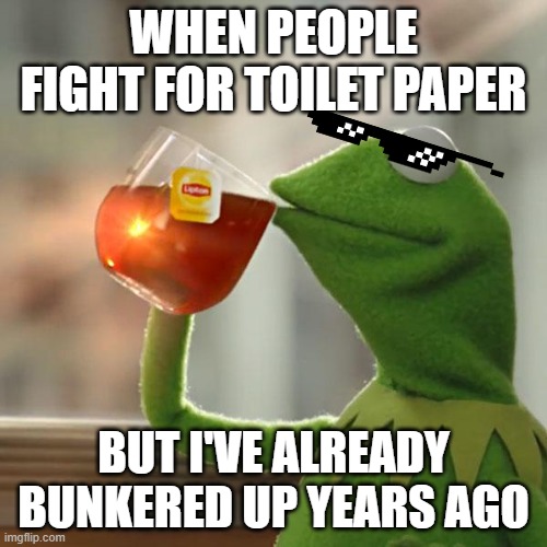 But That's None Of My Business Meme | WHEN PEOPLE FIGHT FOR TOILET PAPER; BUT I'VE ALREADY BUNKERED UP YEARS AGO | image tagged in memes,but that's none of my business,kermit the frog | made w/ Imgflip meme maker