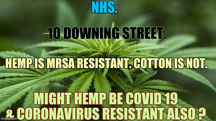 #MRSA #HEMP #CANNABIS #MARIJUANA #GANJA #WACKYBACKY or whatever you would like 2 call it. All has similar properties &R related. | NHS. 10 DOWNING STREET. HEMP IS MRSA RESISTANT. COTTON IS NOT. MIGHT HEMP BE COVID 19 & CORONAVIRUS RESISTANT ALSO ? | image tagged in nhs,healthcare,covid 19,coronavirus,parliament,qanon | made w/ Imgflip meme maker