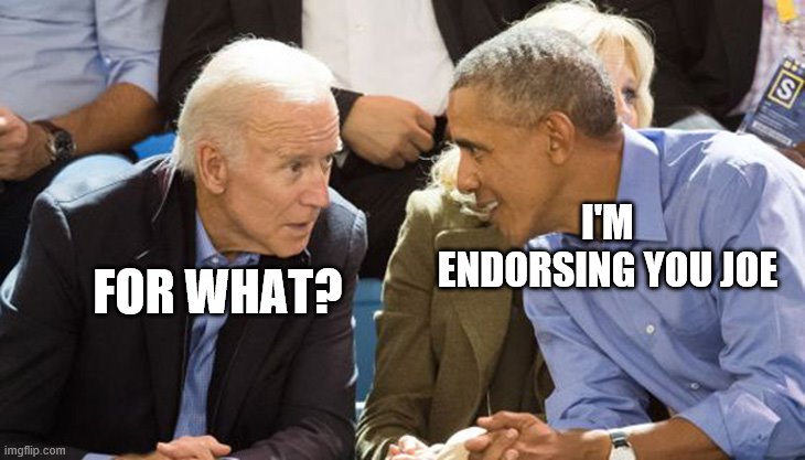 Stora Tuttar | I'M ENDORSING YOU JOE; FOR WHAT? | image tagged in stora tuttar | made w/ Imgflip meme maker