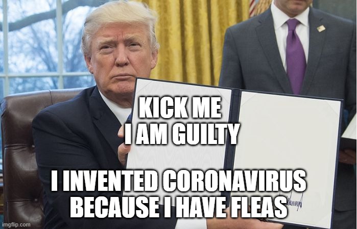 Trump signing | KICK ME 
I AM GUILTY; I INVENTED CORONAVIRUS BECAUSE I HAVE FLEAS | image tagged in trump signing | made w/ Imgflip meme maker