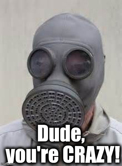 Gas mask | Dude,  you're CRAZY! | image tagged in gas mask | made w/ Imgflip meme maker