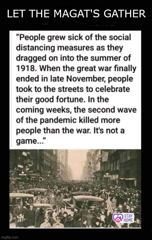 Let them gather | LET THE MAGAT'S GATHER | image tagged in trump,maga,gop,morons,idiots,death toll | made w/ Imgflip meme maker