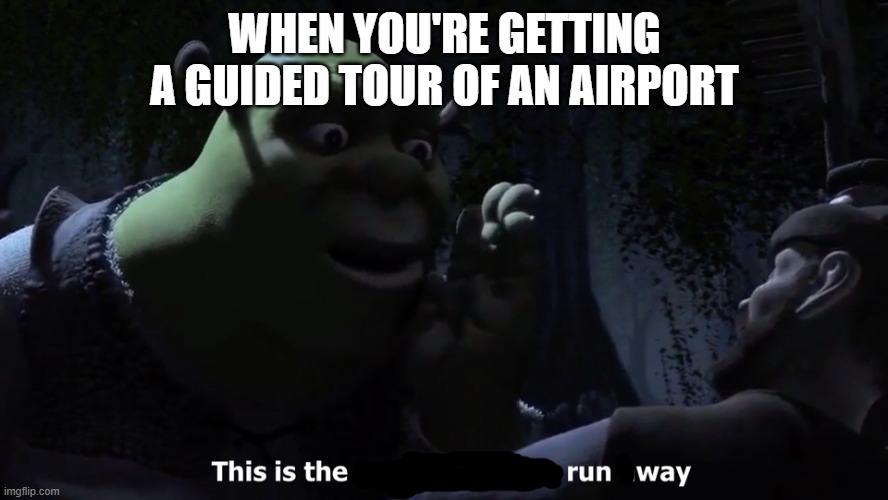 what's this type of meme called? | WHEN YOU'RE GETTING A GUIDED TOUR OF AN AIRPORT | image tagged in memes,shrek,airport | made w/ Imgflip meme maker