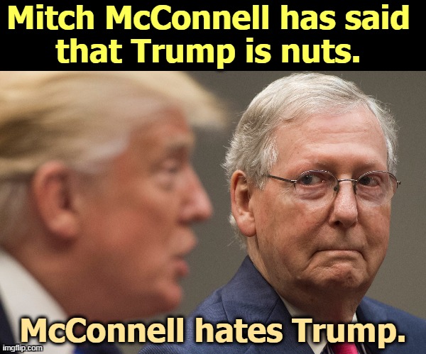 Trump thinks he's using McConnell. He's wrong. It's the other way around. | Mitch McConnell has said 
that Trump is nuts. McConnell hates Trump. | image tagged in mcconnell hates trump gives him the stinkeye,trump,mitch mcconnell,hate,nuts | made w/ Imgflip meme maker