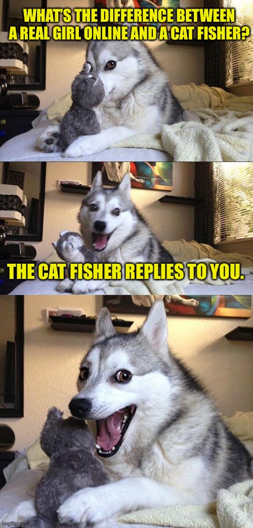 Bad Pun Dog | WHAT’S THE DIFFERENCE BETWEEN A REAL GIRL ONLINE AND A CAT FISHER? THE CAT FISHER REPLIES TO YOU. | image tagged in memes,bad pun dog | made w/ Imgflip meme maker