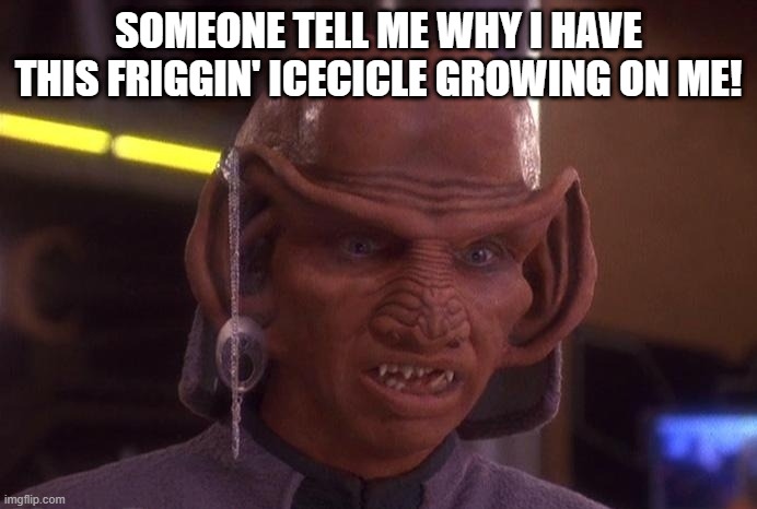 OverJeweled Ferengi | SOMEONE TELL ME WHY I HAVE THIS FRIGGIN' ICECICLE GROWING ON ME! | image tagged in rom star trek deep space nine | made w/ Imgflip meme maker