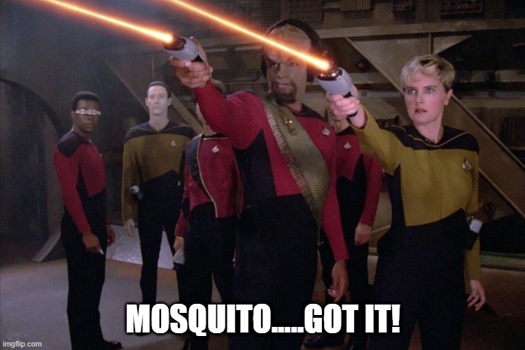 Phasers on Kill | MOSQUITO.....GOT IT! | image tagged in star trek the next generation | made w/ Imgflip meme maker