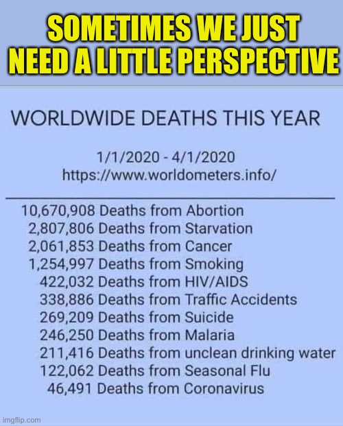 The bigger picture | SOMETIMES WE JUST NEED A LITTLE PERSPECTIVE | image tagged in world,deaths,vs,coronavirus,perspective,people | made w/ Imgflip meme maker
