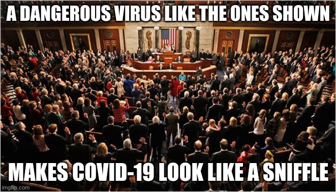 America faces a threat to its freedom, they sit here | A DANGEROUS VIRUS LIKE THE ONES SHOWN; MAKES COVID-19 LOOK LIKE A SNIFFLE | image tagged in congress,congress sucks,impeach congress,congress is a virus,rise up,freedom | made w/ Imgflip meme maker