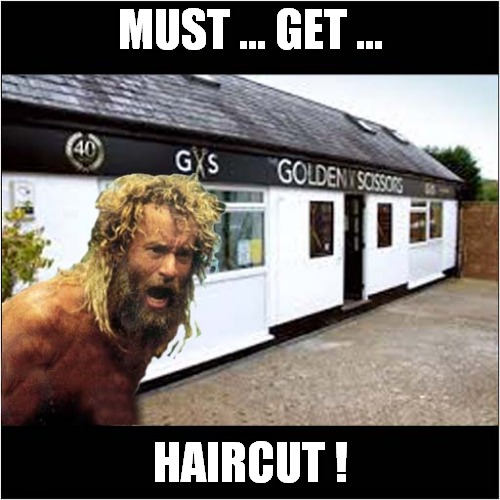 Thinking Of My Local Hairdresser | MUST ... GET ... HAIRCUT ! | image tagged in fun,self isolation,hairdresser,castaway | made w/ Imgflip meme maker