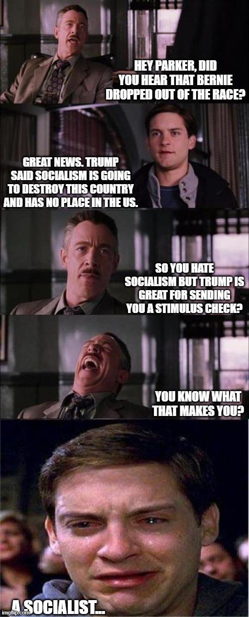 Peter Parker Cry | HEY PARKER, DID YOU HEAR THAT BERNIE DROPPED OUT OF THE RACE? GREAT NEWS. TRUMP SAID SOCIALISM IS GOING TO DESTROY THIS COUNTRY AND HAS NO PLACE IN THE US. SO YOU HATE SOCIALISM BUT TRUMP IS GREAT FOR SENDING YOU A STIMULUS CHECK? YOU KNOW WHAT THAT MAKES YOU? A SOCIALIST... | image tagged in memes,peter parker cry | made w/ Imgflip meme maker