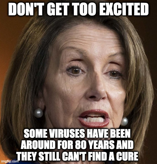 Pelosi | DON'T GET TOO EXCITED; SOME VIRUSES HAVE BEEN AROUND FOR 80 YEARS AND THEY STILL CAN'T FIND A CURE | image tagged in pelosi | made w/ Imgflip meme maker