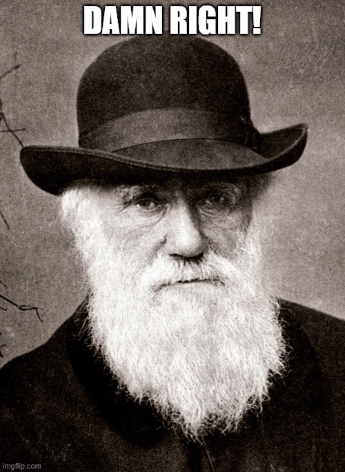 Darwin | DAMN RIGHT! | image tagged in darwin | made w/ Imgflip meme maker