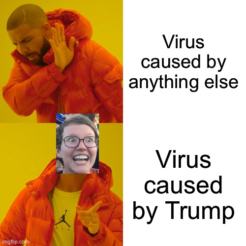 Drake Hotline Bling Meme | Virus caused by anything else Virus caused by Trump | image tagged in memes,drake hotline bling | made w/ Imgflip meme maker
