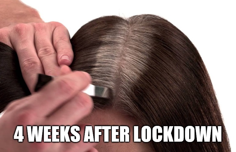 D.I.Y. lockdown stylist | 4 WEEKS AFTER LOCKDOWN | image tagged in lockdown,social distancing,coronavirus meme,covid 19,covid19,funny memes | made w/ Imgflip meme maker