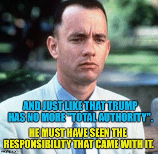 Total authority | image tagged in forrest gump | made w/ Imgflip meme maker