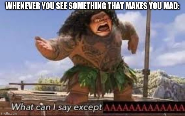 What can i say except aaaaaaaaaaa | WHENEVER YOU SEE SOMETHING THAT MAKES YOU MAD: | image tagged in what can i say except aaaaaaaaaaa | made w/ Imgflip meme maker