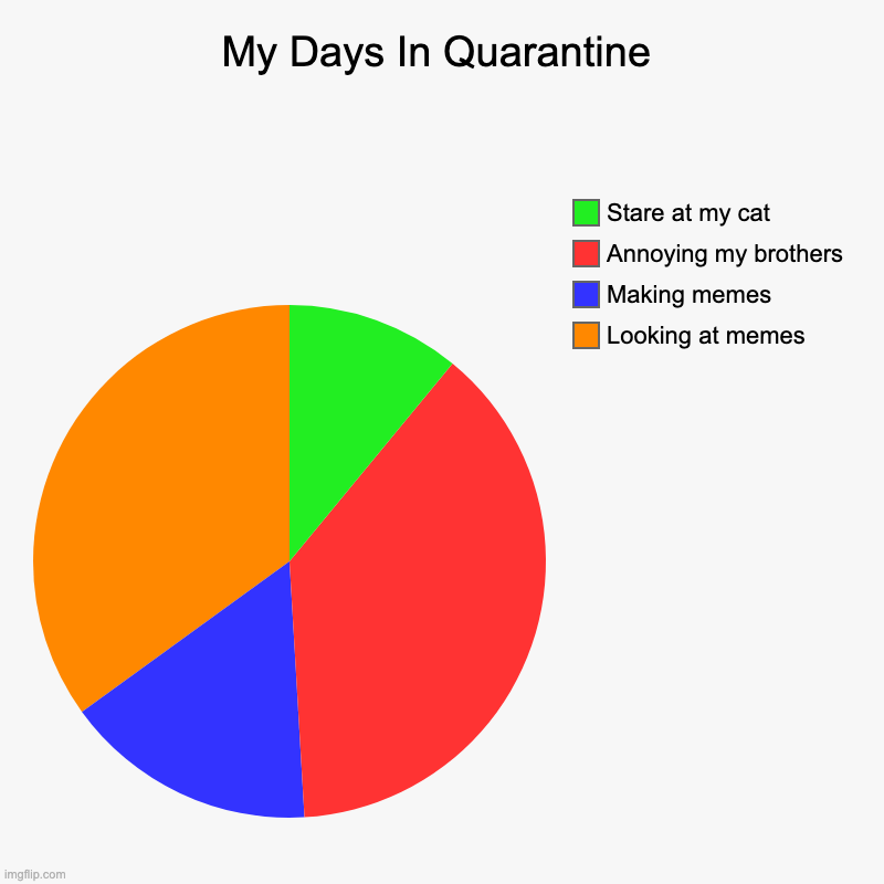 My Days In Quarantine | Looking at memes, Making memes, Annoying my brothers, Stare at my cat | image tagged in charts,pie charts | made w/ Imgflip chart maker