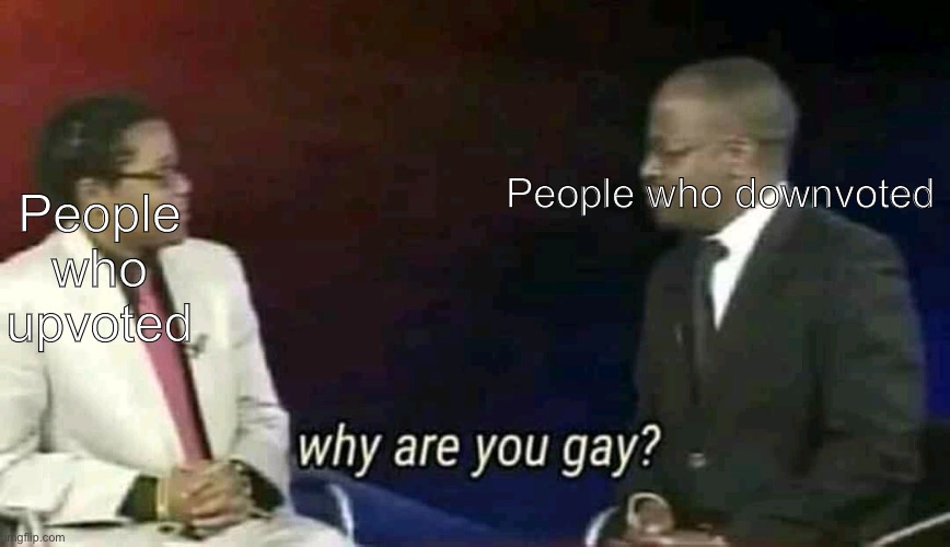 People who downvoted People who upvoted | image tagged in why are you gay | made w/ Imgflip meme maker
