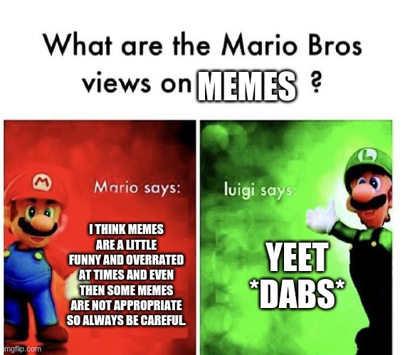 Mario Bros Views | MEMES; I THINK MEMES ARE A LITTLE FUNNY AND OVERRATED AT TIMES AND EVEN THEN SOME MEMES ARE NOT APPROPRIATE SO ALWAYS BE CAREFUL. YEET *DABS* | image tagged in mario bros views | made w/ Imgflip meme maker