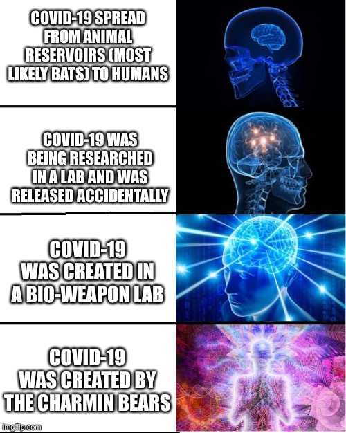 GALAXY BRAIN | COVID-19 SPREAD FROM ANIMAL RESERVOIRS (MOST LIKELY BATS) TO HUMANS; COVID-19 WAS BEING RESEARCHED IN A LAB AND WAS RELEASED ACCIDENTALLY; COVID-19 WAS CREATED IN A BIO-WEAPON LAB; COVID-19 WAS CREATED BY THE CHARMIN BEARS | image tagged in galaxy brain | made w/ Imgflip meme maker