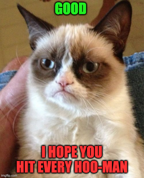 Grumpy Cat Meme | GOOD I HOPE YOU HIT EVERY HOO-MAN | image tagged in memes,grumpy cat | made w/ Imgflip meme maker